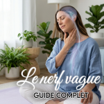 qu est ce que le nerf vague