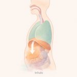 respiration diaphragmatique bienfaits guide complet featured