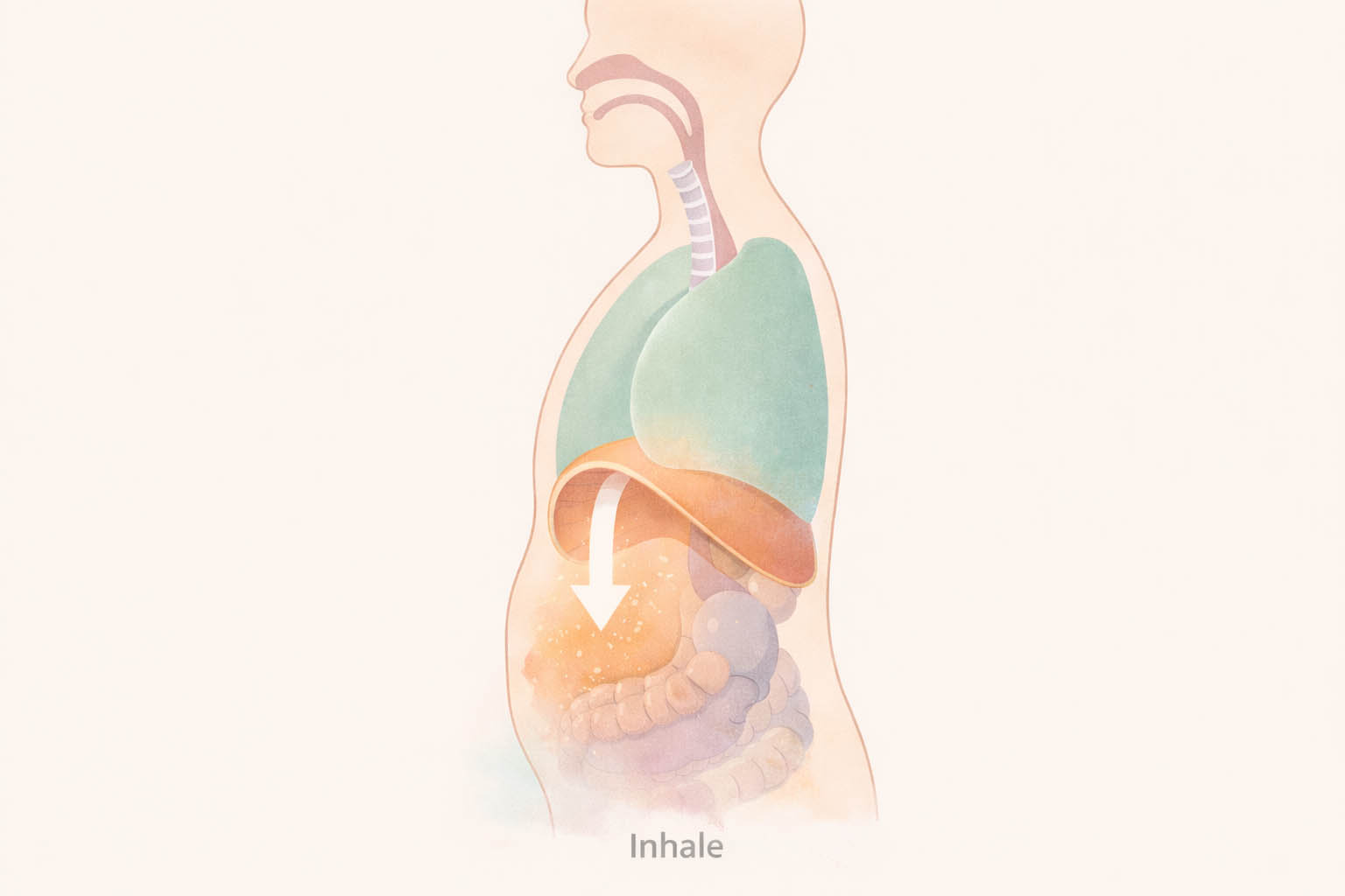 respiration diaphragmatique bienfaits guide complet featured