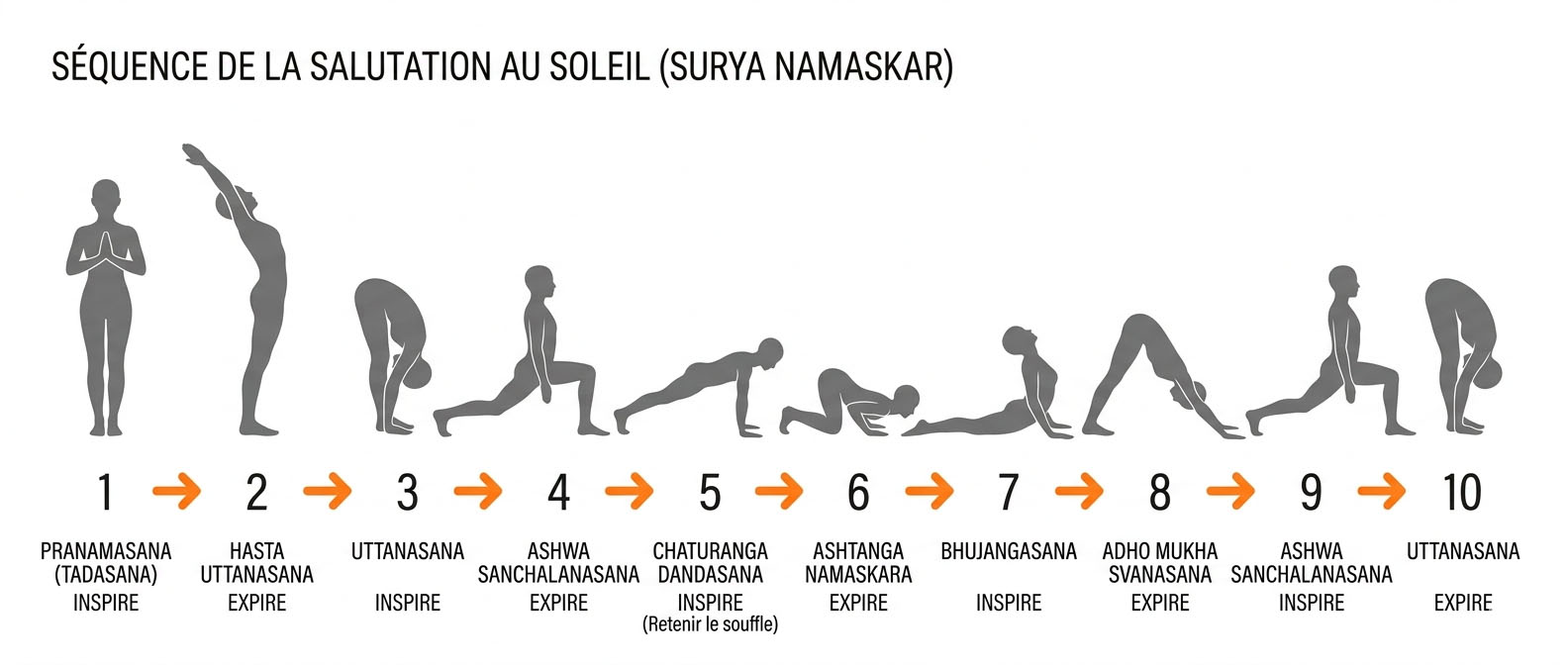 sequence salutation soleil vinyasa debutant